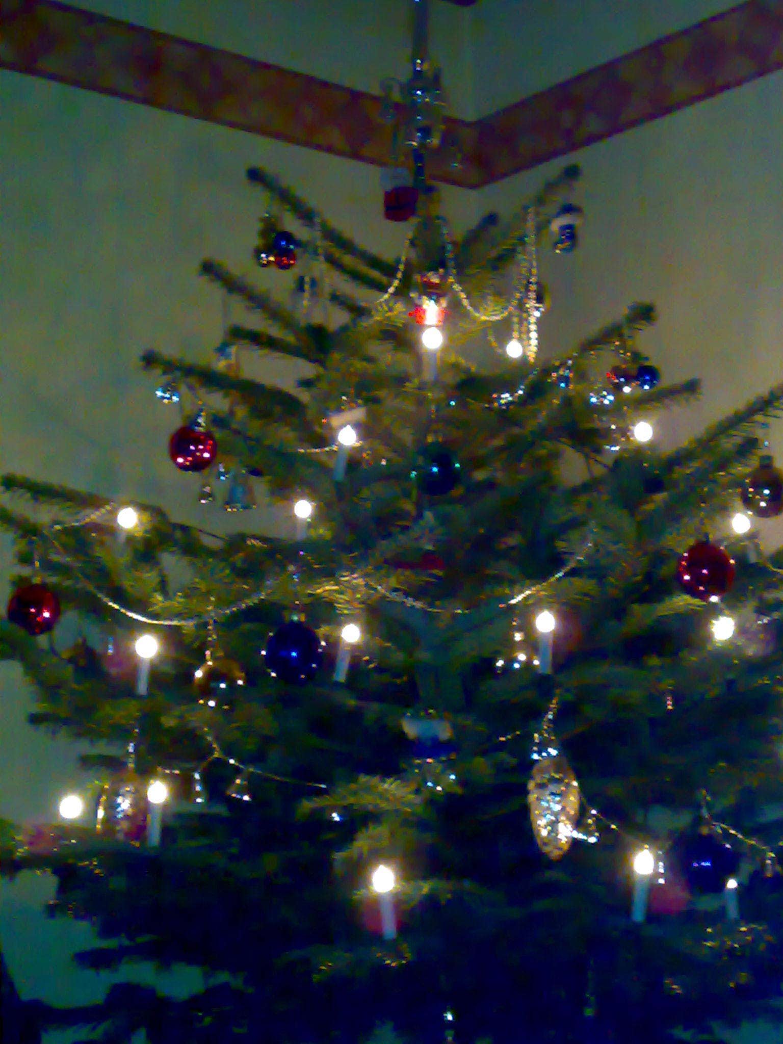 Weihnachtsbaum-klein.jpg